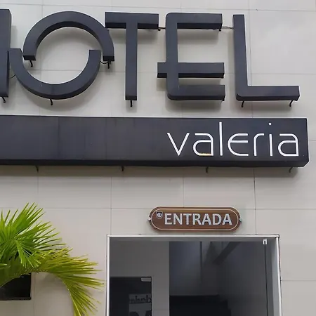 Oyo Hotel Valeria-2